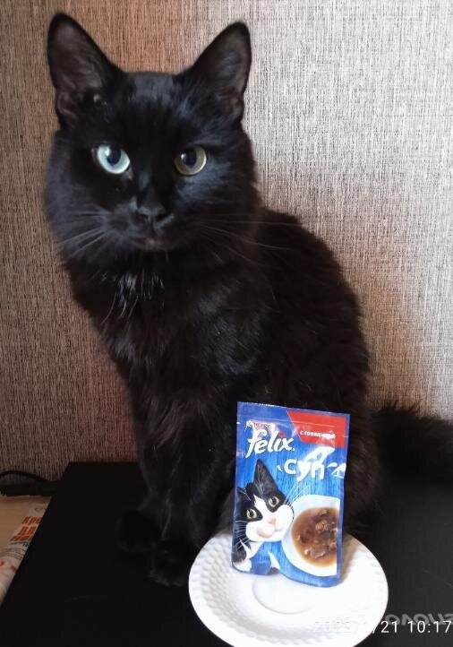 Сегодня у меня на дегустации Феликс суп с говядиной