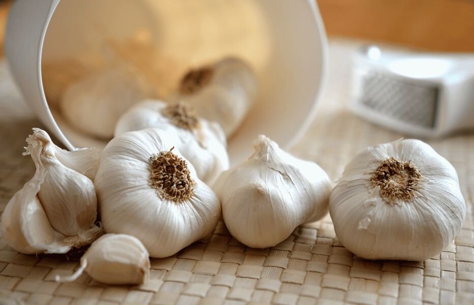 Фото congerdesign, Pixabay