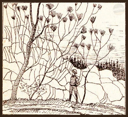 Добавьте описание