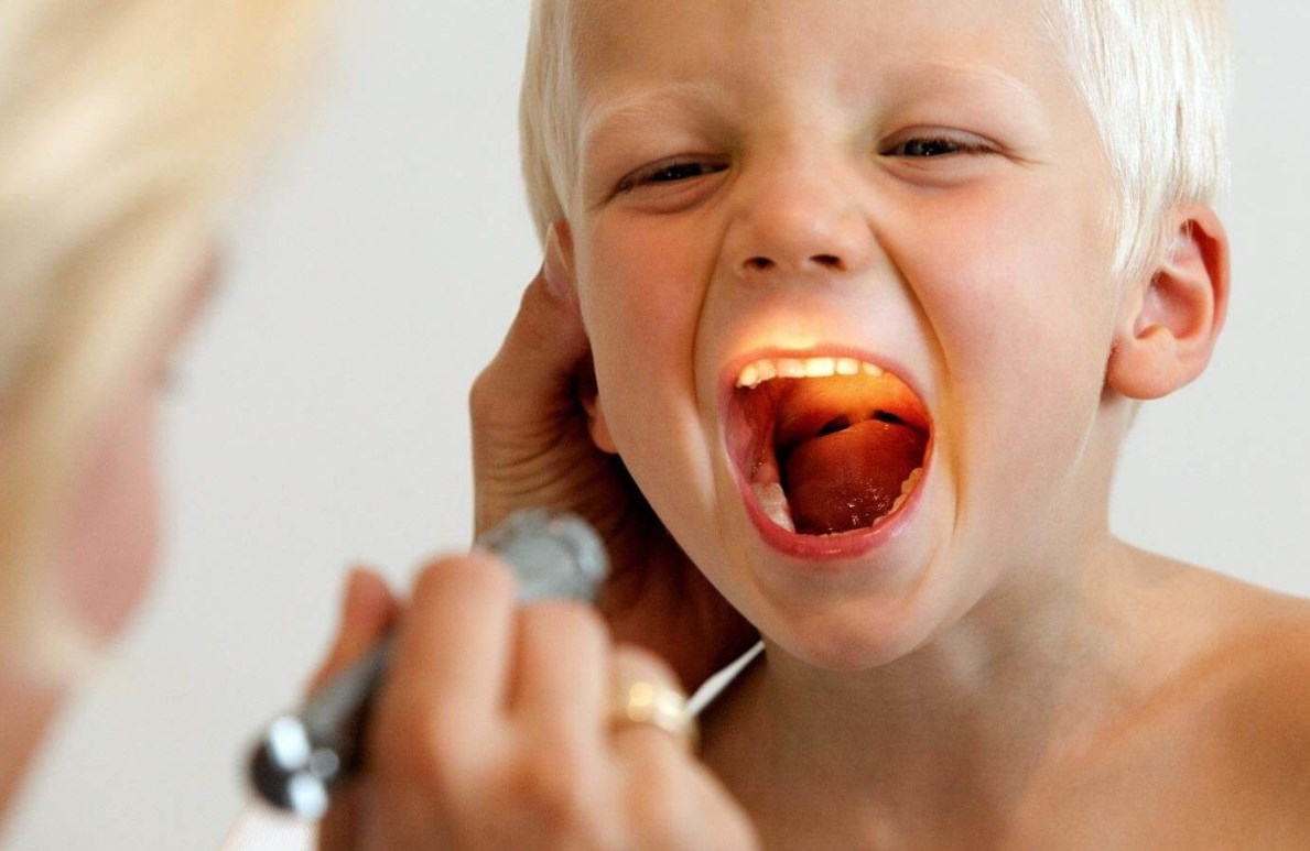 все фото - яндекс-картинки