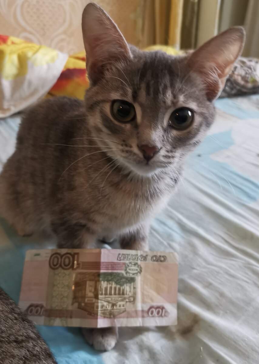 Одри