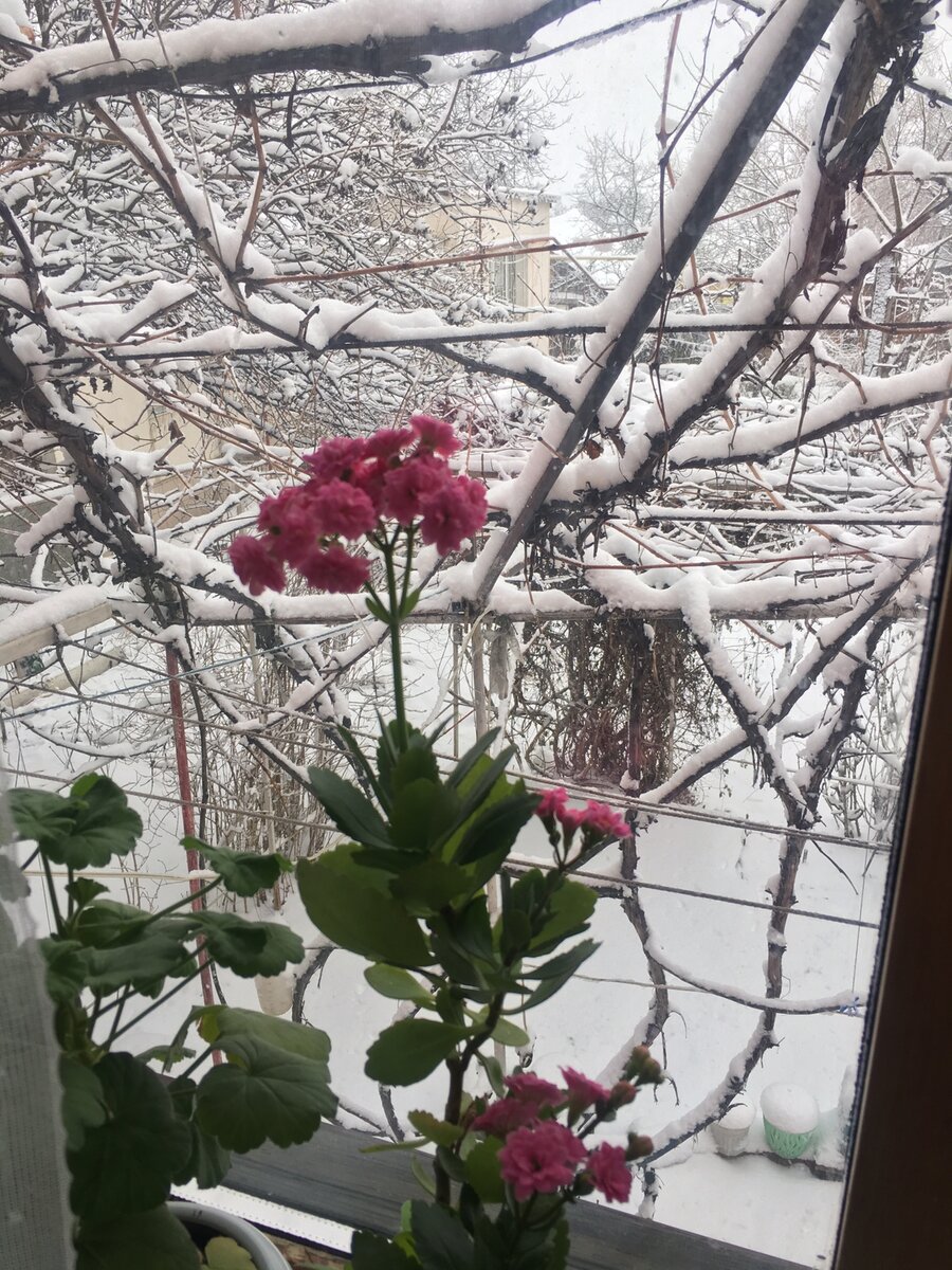 фото подруги автора