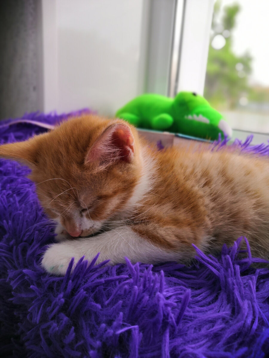 Это её первый день дома. 