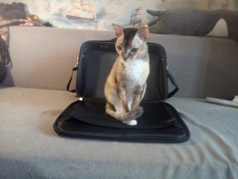 Все фотографии в публикации - авторские