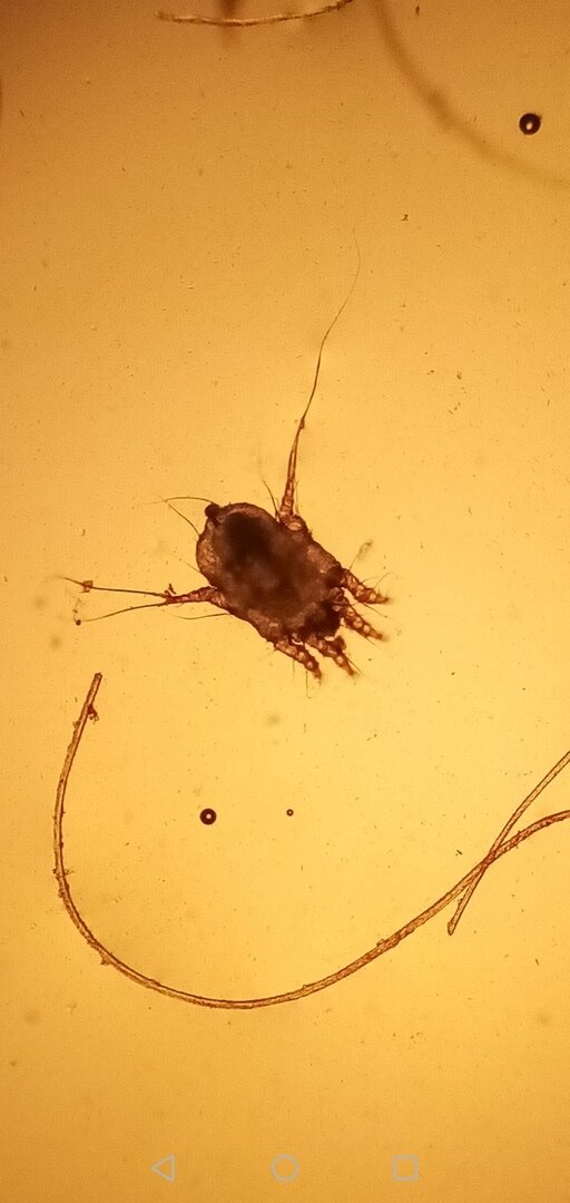 Фото из личного архива автора