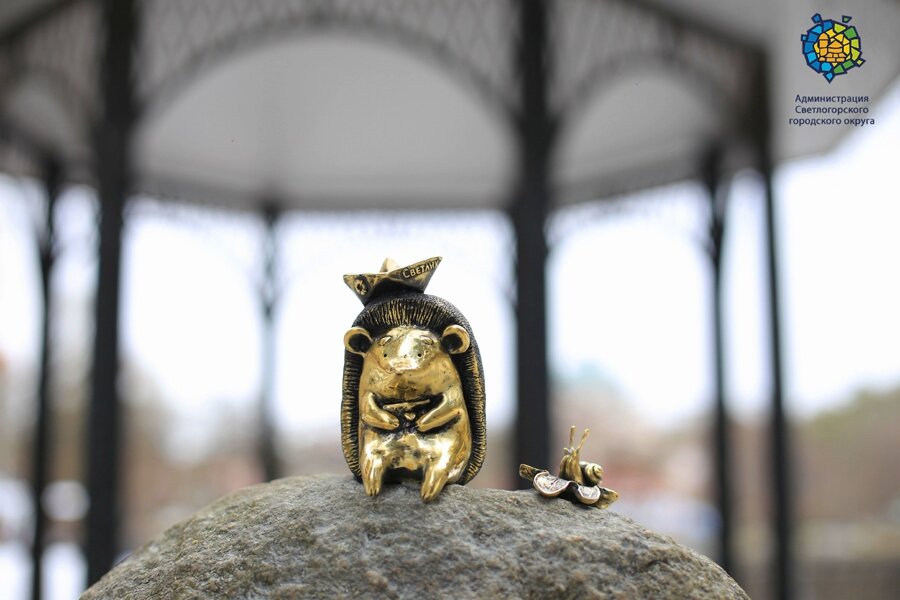 Фото: администрация Светлогорского городского округа