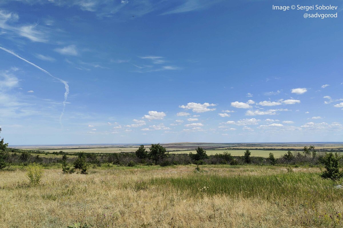 Хотя здесь эта самая непрерывная ткань очень во многих местах также рассекается огромными полями (видны вдали).