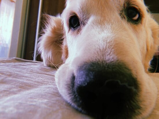 ФОТО: МК В ВОЛОГДЕ 