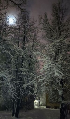 картинка из личных архивов