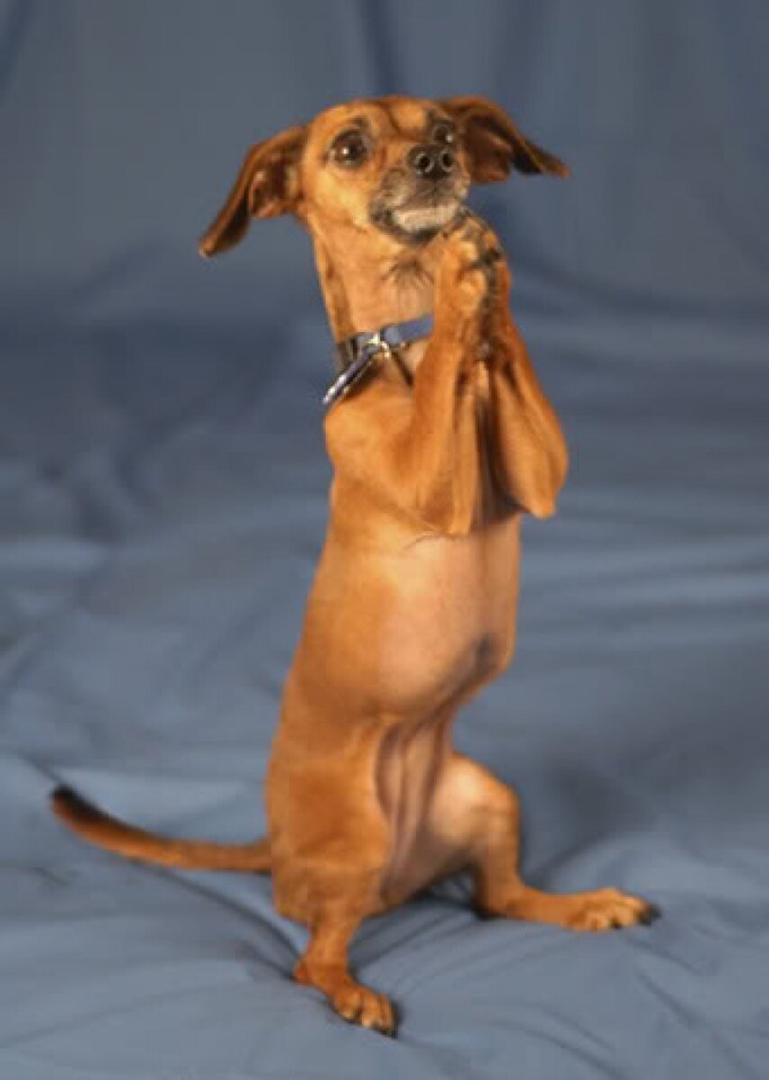 Фото из интернета