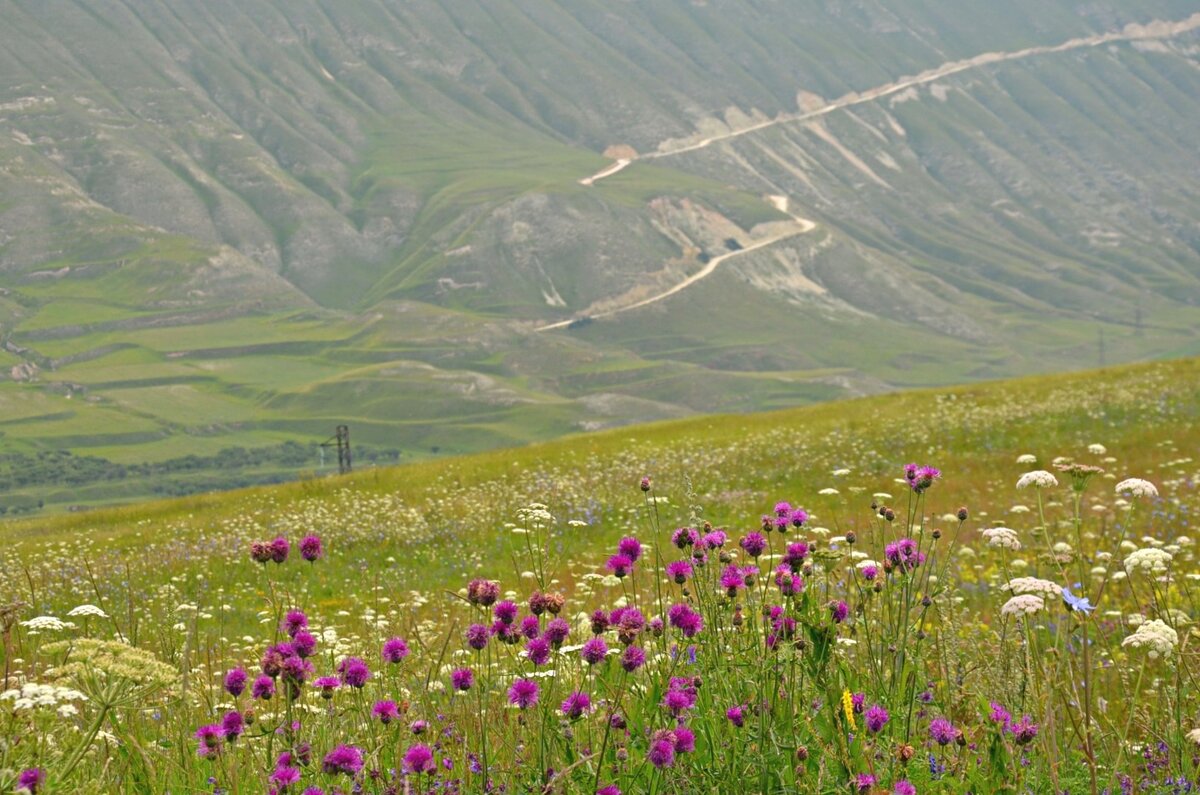 Дагестан красоты природы. Сулакский каньон гамсутль. И та красота что в дагестане. Природа дагестана сулакский каньон. Красоты дагестана сулакский каньон.