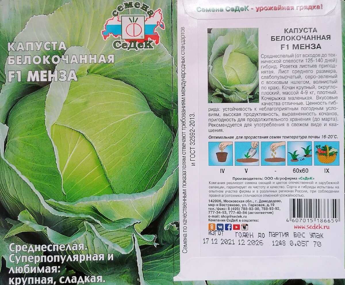 Семена Капуста б/к Засолочная: описание сорта, фото - купить с доставкой или поч