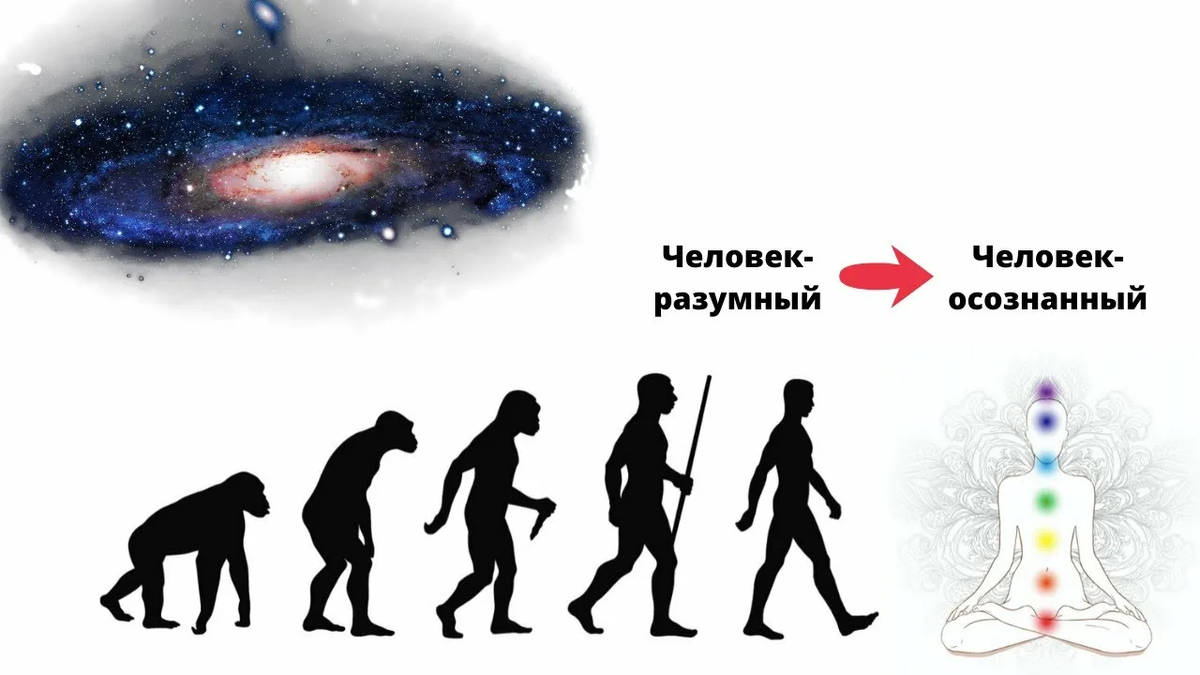 биоэнергетика человека. качества лидера. как будет выглядеть человек в будущем. ответственный человек. физически развитый человек.