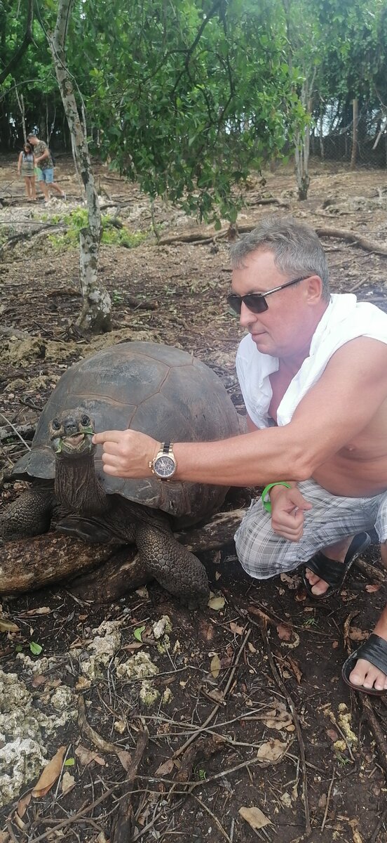 Кормлю сейшельскую черепаху