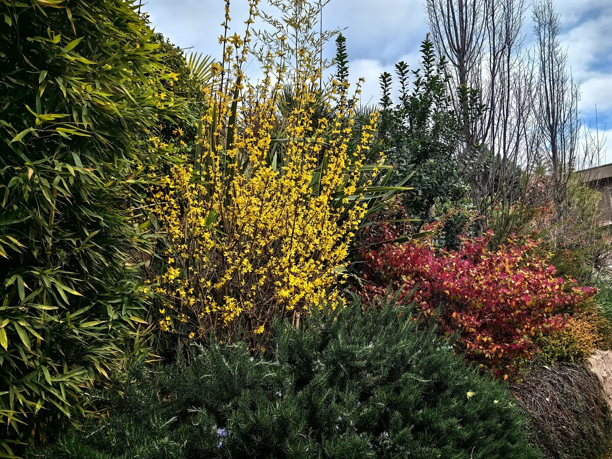 И красивой флоры там действительно много 