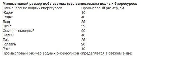 Запрет на ловлю щуки в Московской области с определенной даты