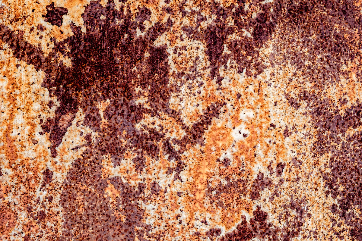 Фото: unsplash (Detlef Hansmann)
