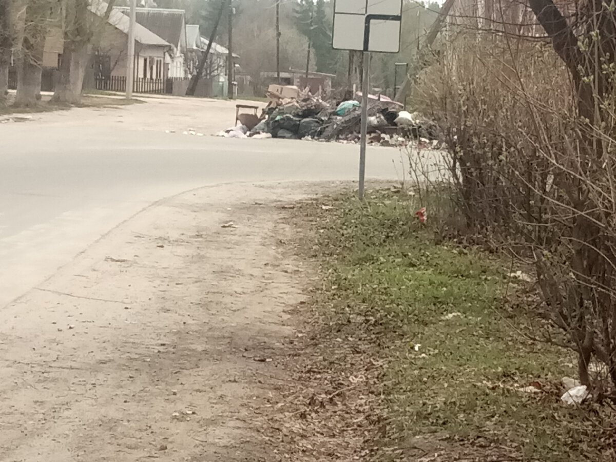 Жители постоянно  устраивают такой свинарник