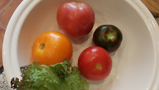 Помидоры сорванные с куста, можно есть просто посыпав солью и перцем. Мммм... вкуснотища!