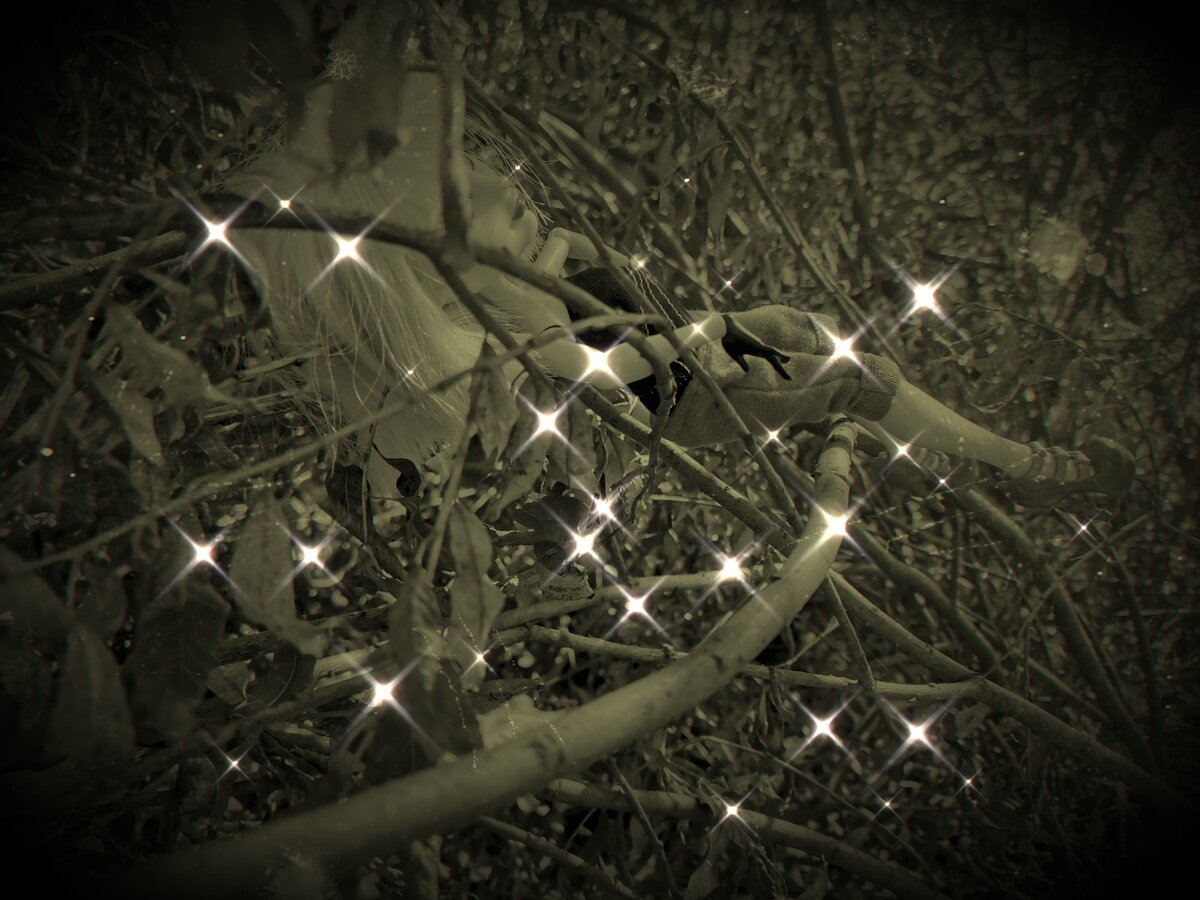 Звёздочки спустились к Банни... 🌟