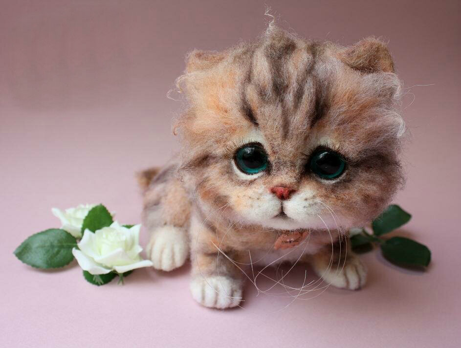 Фото с интернет источника