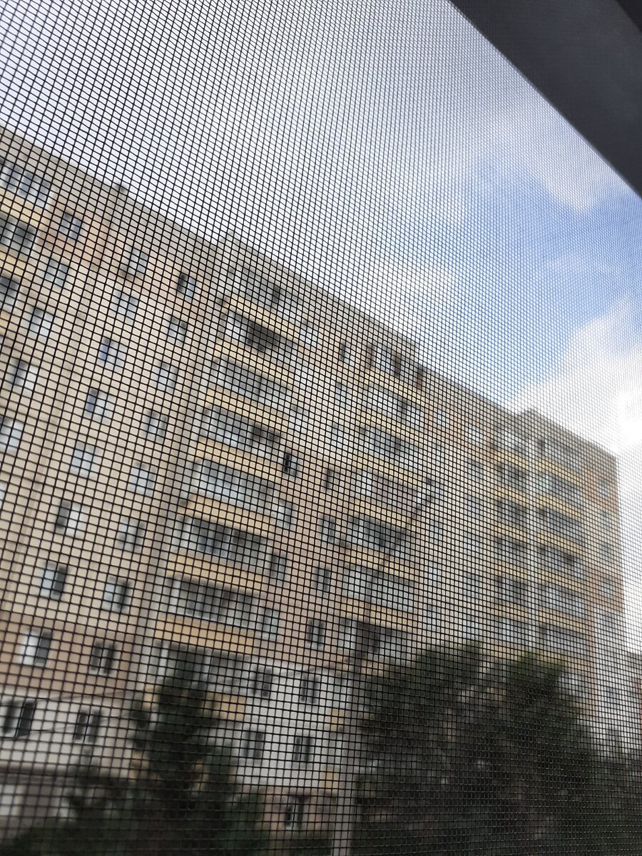 Вид из камеры Паши