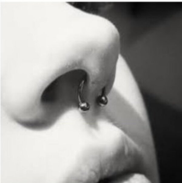 Яндекс. Картинки