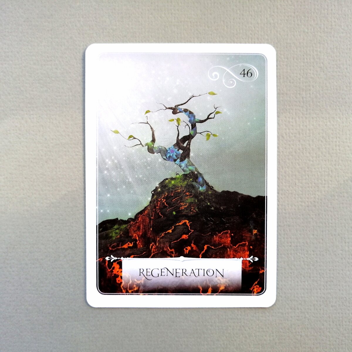 Личное фото автора.