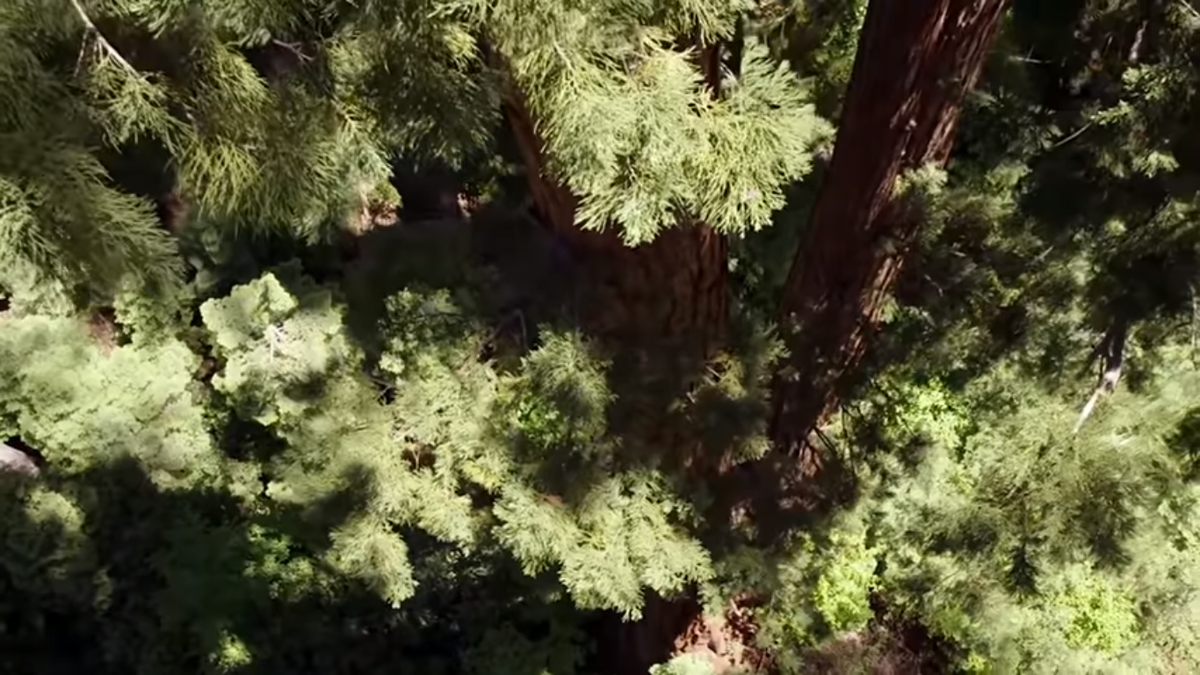 Йосемити, США