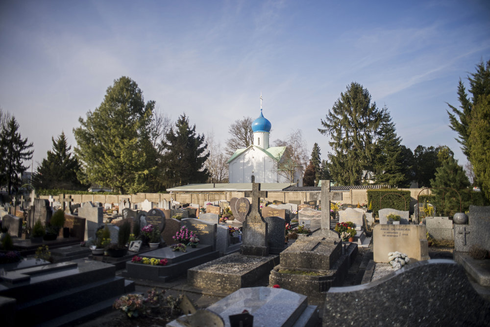 Изображение из сети интернет и в свободном доступе