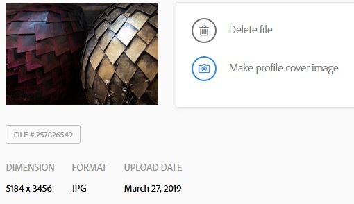 Мой лидер продаж)