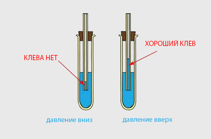 Домашний очаг