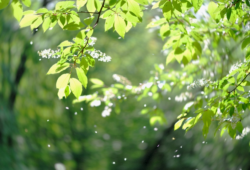 Источник фото: https://avatars.mds.yandex.net/get-zen_doc/3901320/pub_5f4695c8bf44ea7ae39e2eb6_5f469b0ccedca309d6f29ee4/scale_600