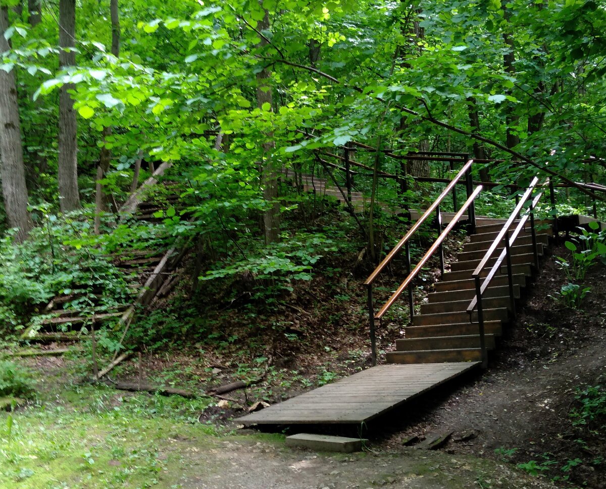 Россия. Ерино  Спуск к Святому источнику Параскевы Пятницы