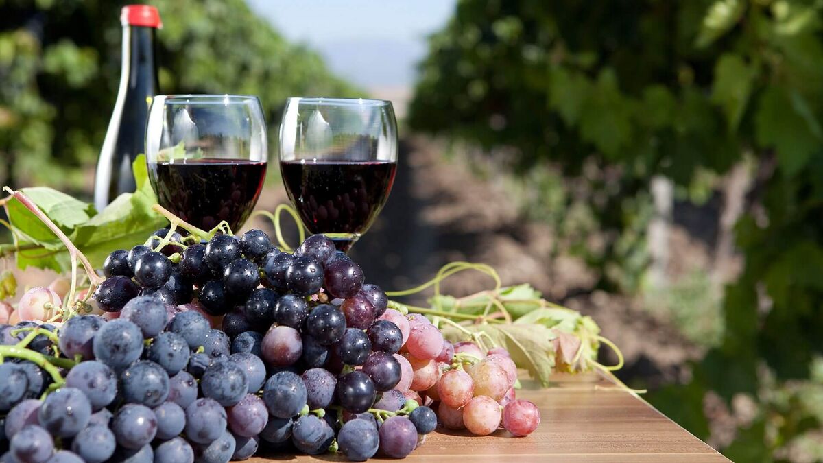 Фото : winetouritalia.com