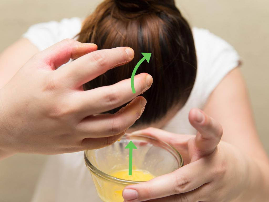 Нанесение яиц на волосы