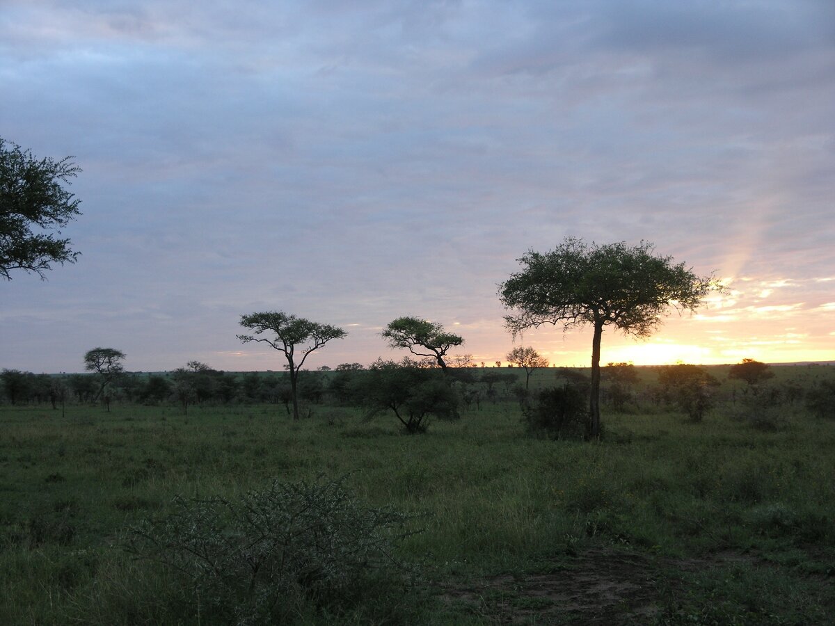 Познать себя на дне безмолвья