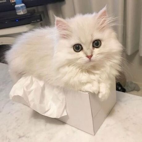 это место мне нравится