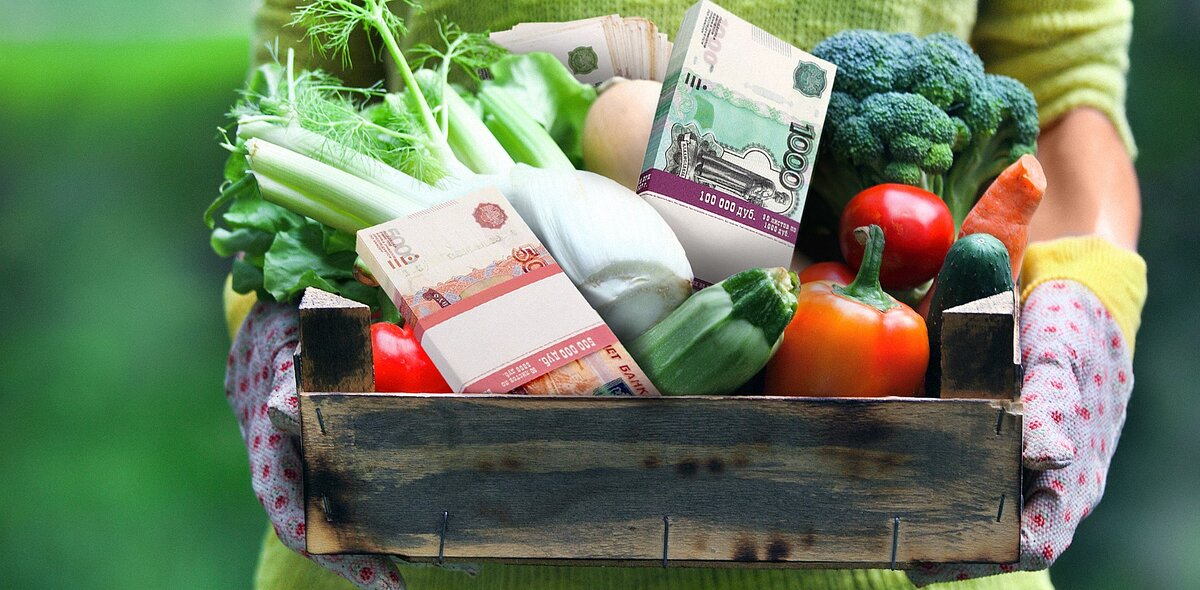 Фото на обложке: petrenkod/iStock, коллаж Анны Бабич