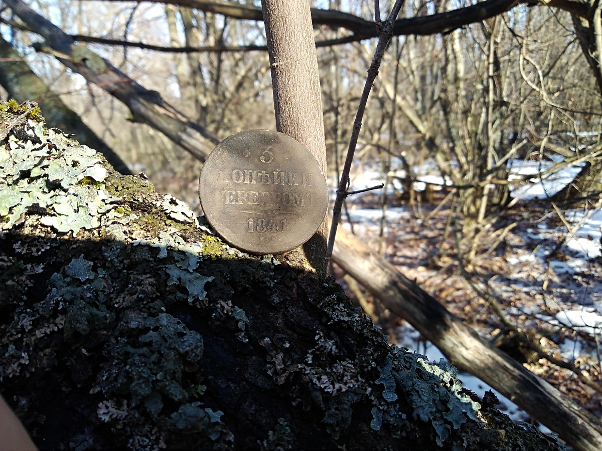 Приятная шайба)