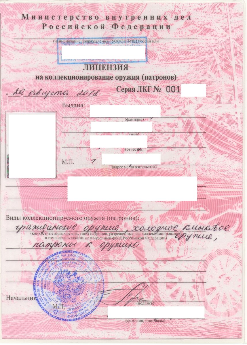 Сама лицензия на коллекционирование. Вписано и холодное клинковое оружие