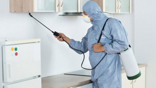 
Если помещение сильно «заселено» вредителями, то рекомендуется обратиться за помощью к специальным дезинсекционным службам