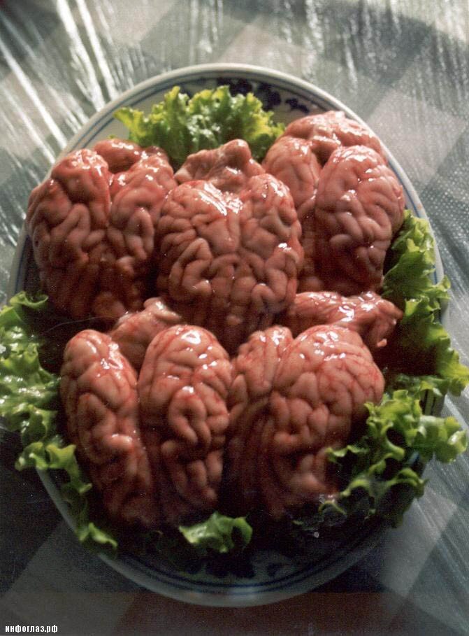 Китай давно прославился своими кулинарными изысками, но некоторые блюда могут вызвать отвращение и даже шокировать!!