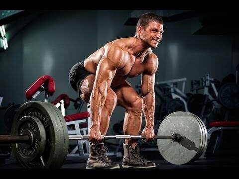                      работайте в зале хоть каждый день