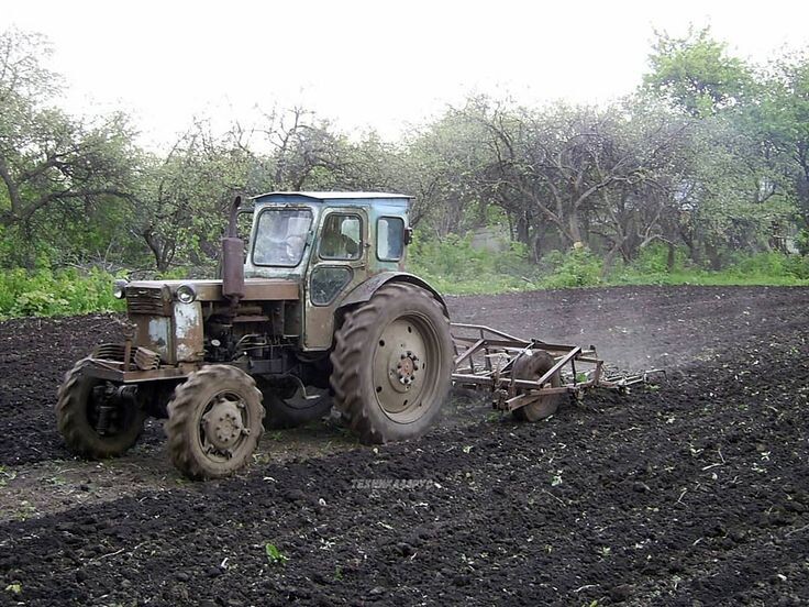 Фото с сайта: Pinterest