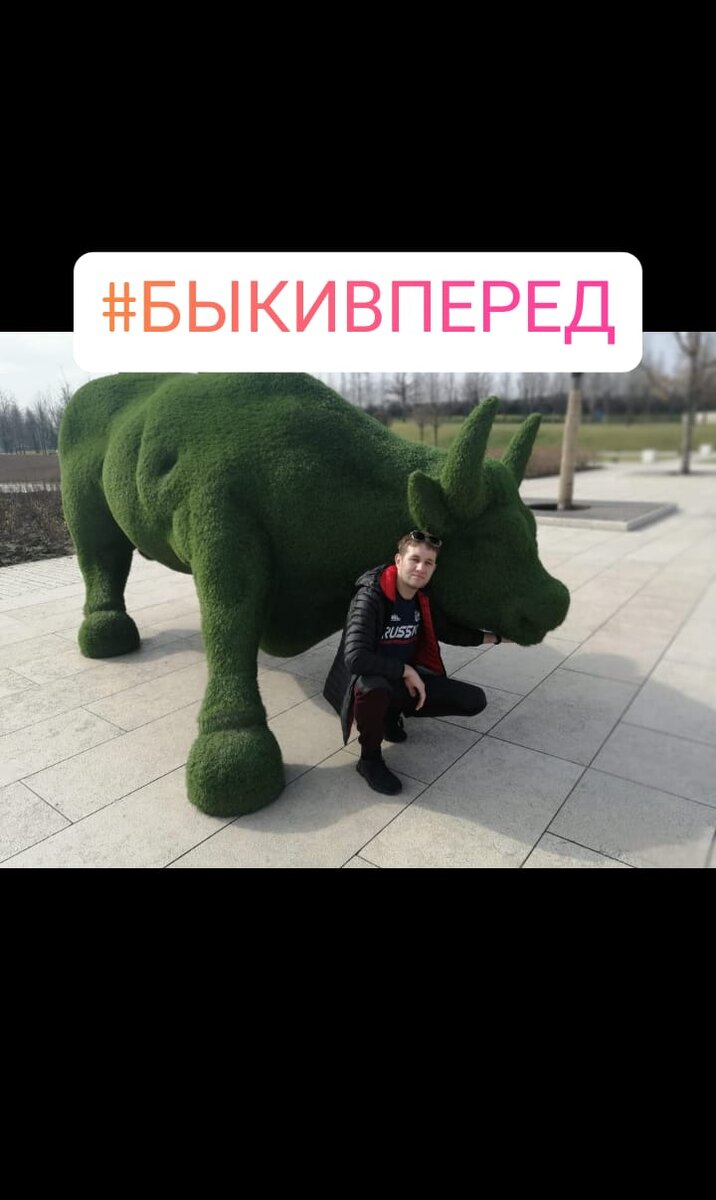 Символ ФК Краснодар.