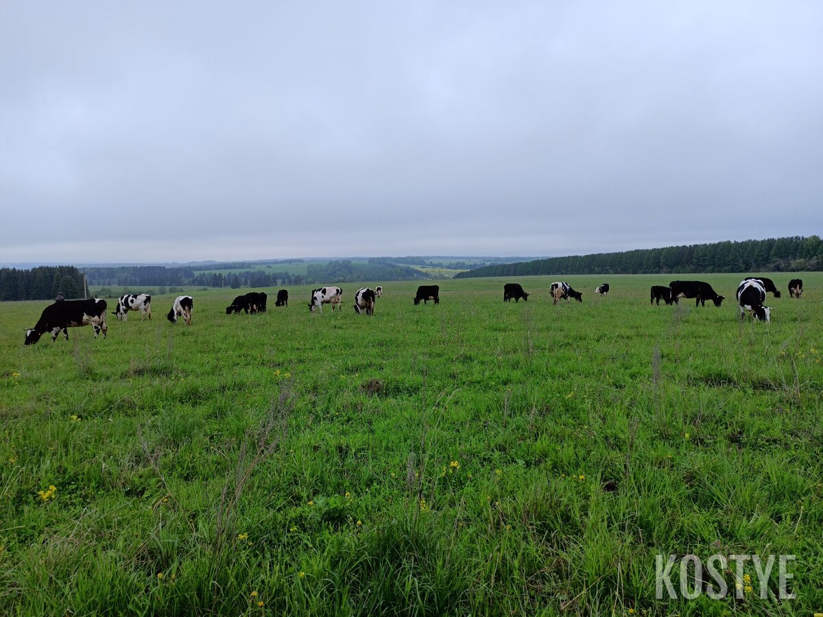 Прикольные картинки с девушками (49 фото)