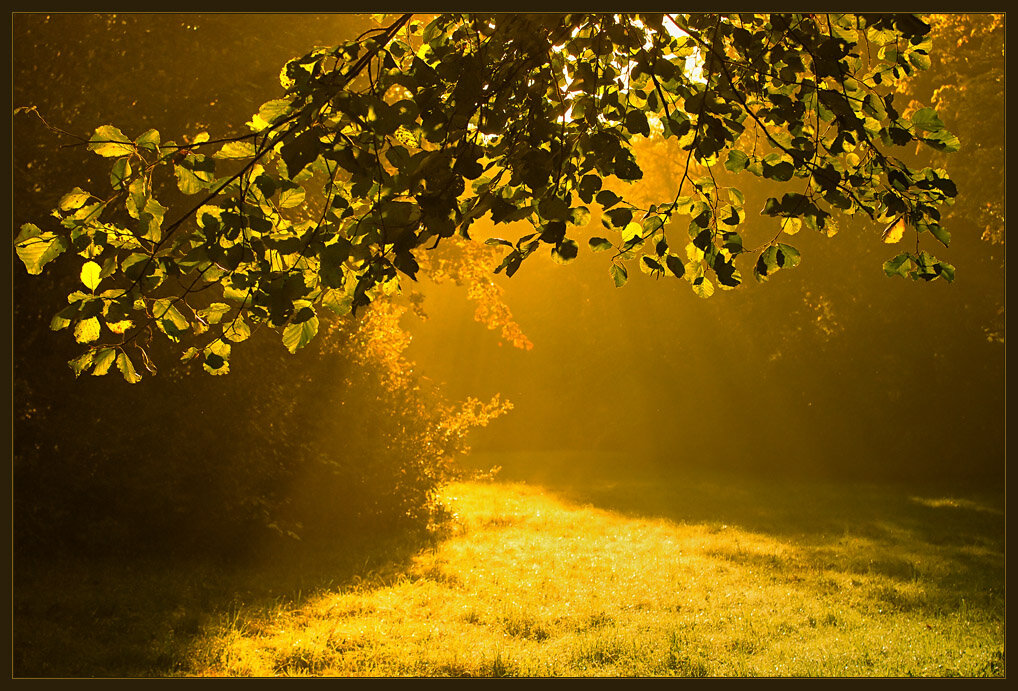 Фото  из открытых источников  Интернета