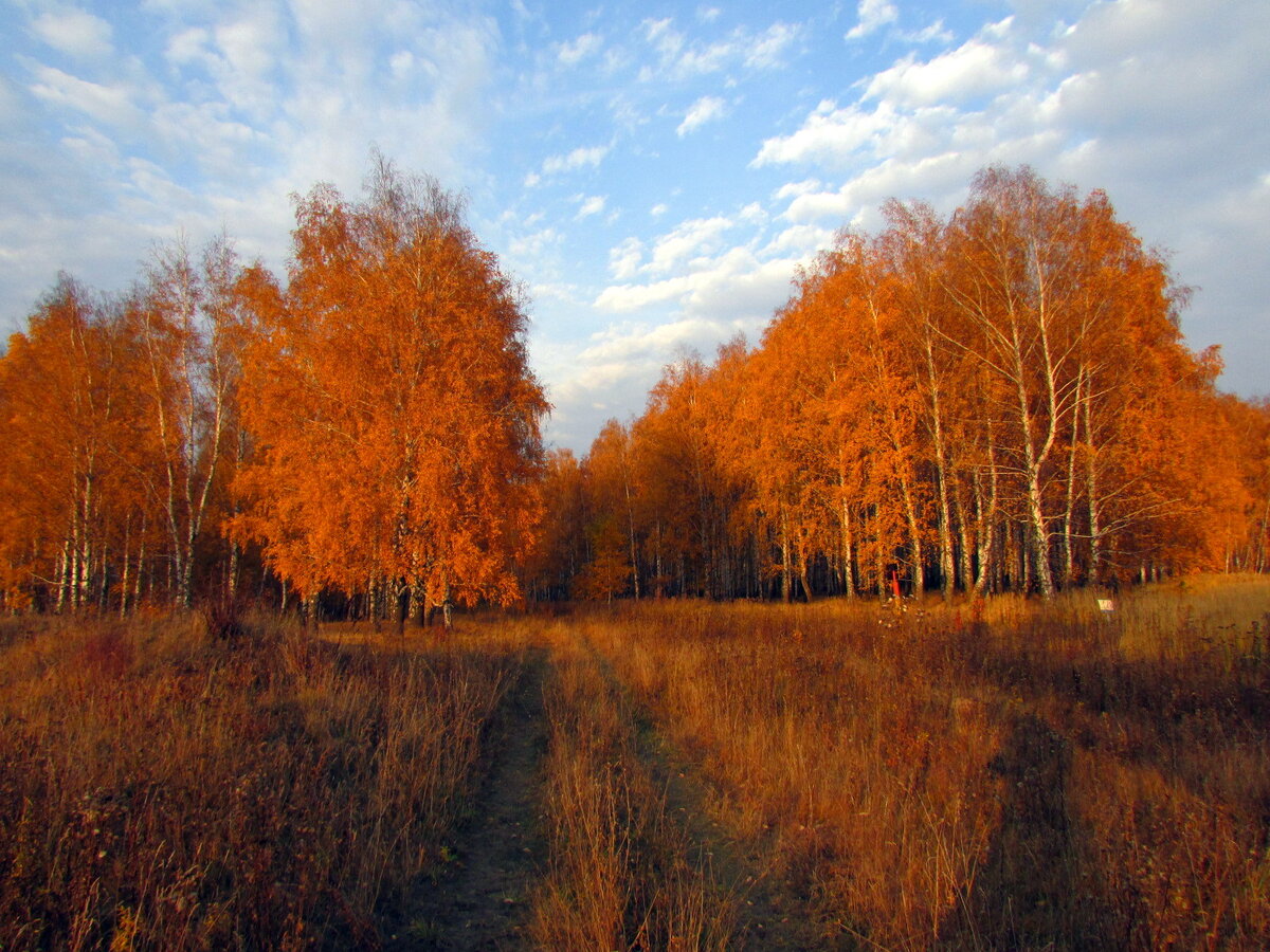 Золотая осень Липецкая область