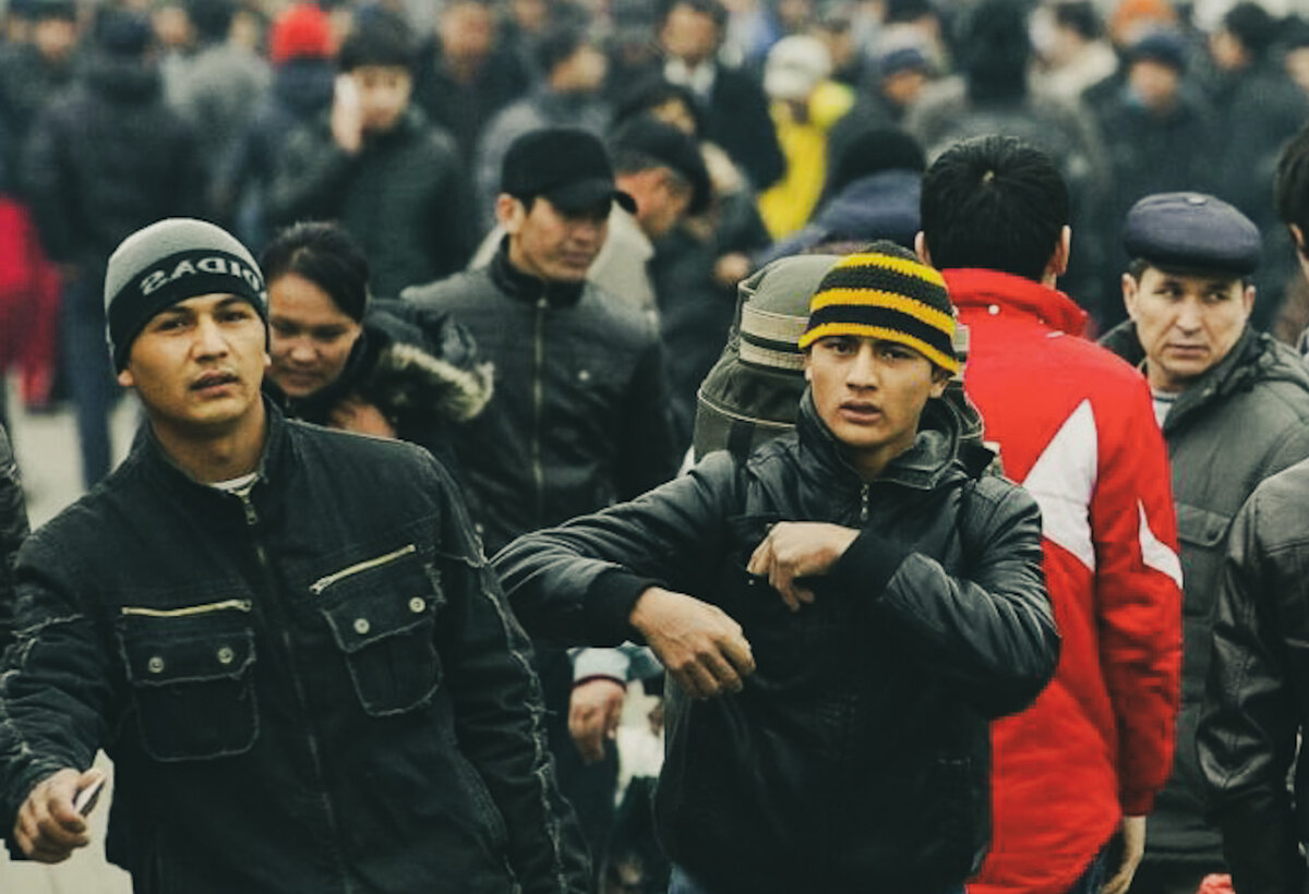 Фото из открытых источников.